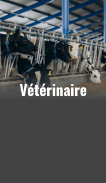 Décolletage de pièce pour le secteur vétérinaire